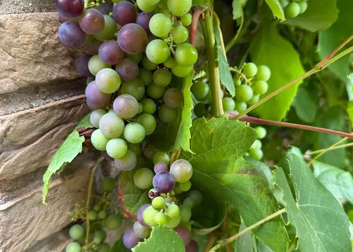 Appartement Neptunhorn Erdgeschosswohnung *